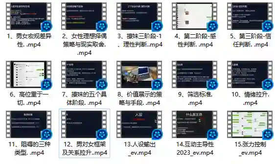 Leon情感5.0实战指南:限时揭秘专属情感提升术-破晓实验室